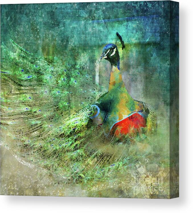 Peacock Canvas Print featuring the photograph Peacock by Looking Glass Images