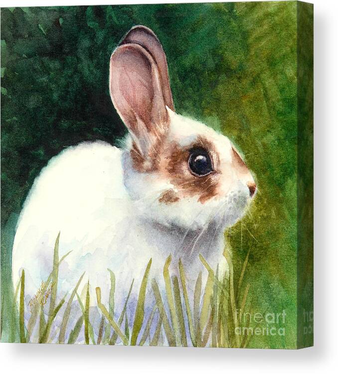 Rabbit Canvas Print featuring the painting Peter by Bonnie Rinier