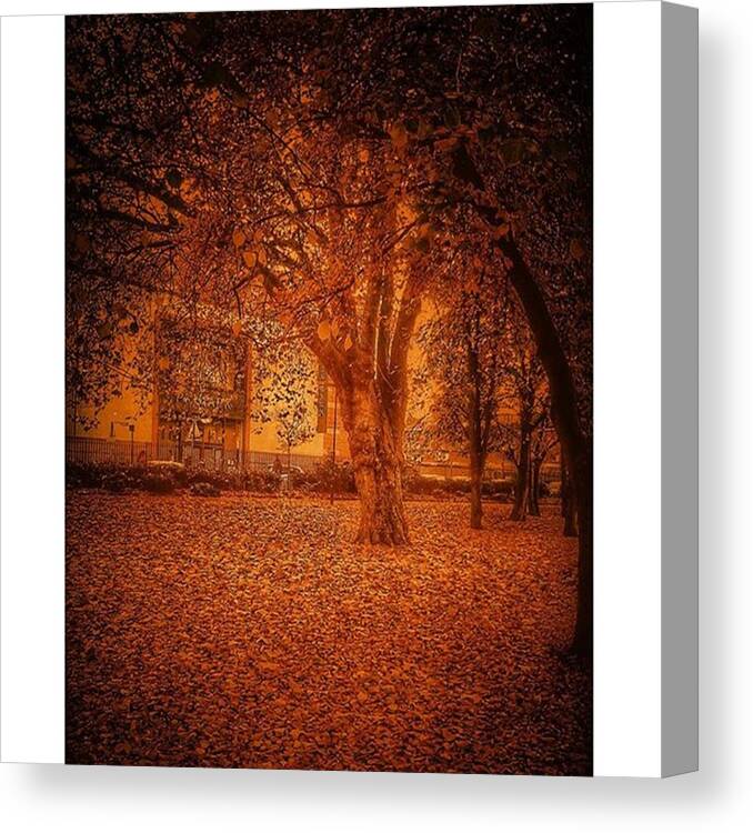 Mobilephotography Canvas Print featuring the photograph Photo And Processing 
by Andrew Hunter by Andrew David Photography
