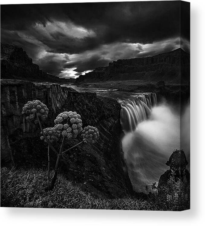 Bnw_society Canvas Print featuring the photograph #photography #white #bnw #photos #photo by Demz Adeola