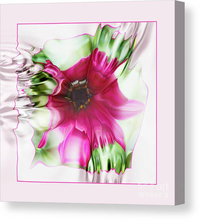 Pink Canvas Print featuring the photograph Pink Daisy by Elaine Hunter
