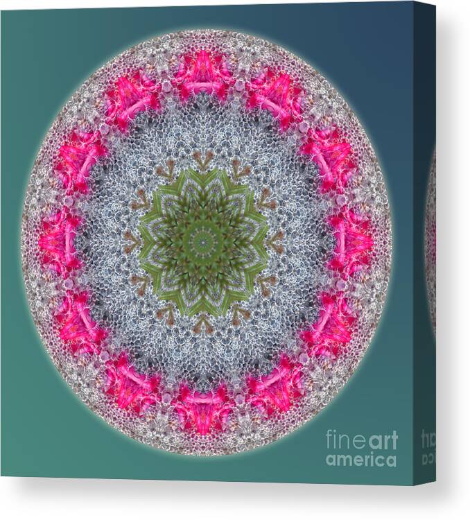 Bubbles Canvas Print featuring the digital art Pink Dream by Kathy Strauss