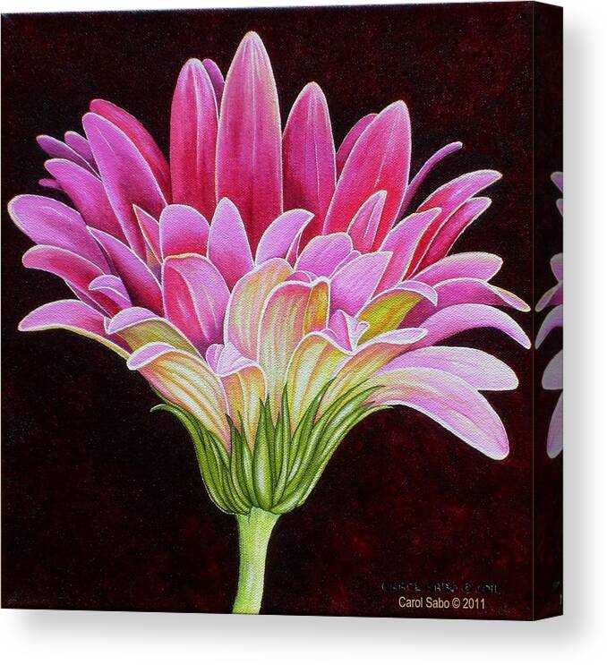 Acrylic Canvas Print featuring the painting Pink Gerbera Daisy by Carol Sabo