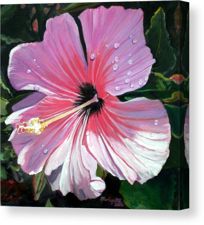 Pink Canvas Print featuring the painting Pink Hibiscus with Raindrops by Marionette Taboniar