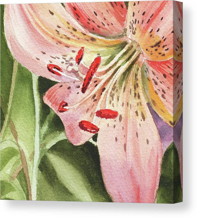 Tiger Lily Canvas Print featuring the painting Pink Lily Close Up by Irina Sztukowski