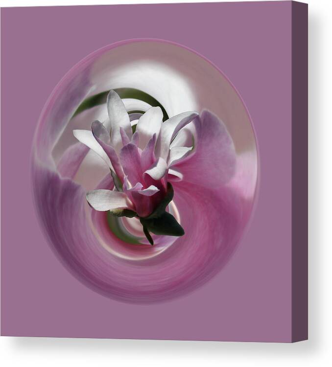  Canvas Print featuring the photograph Pink Magnolia 2 by Jim Baker