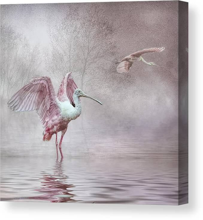 Roseate Spoonbills Canvas Print featuring the photograph Pink Mist by Brian Tarr