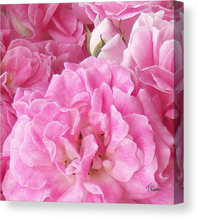 Rose Canvas Print featuring the digital art Pink by Tom Romeo