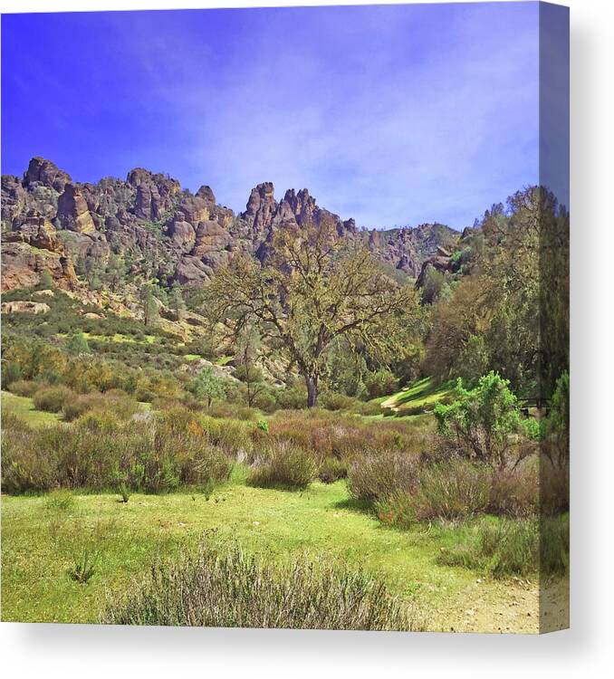 Pinnacles National Park Canvas Print featuring the photograph Pinnacles National Park Watercolor by Art Block Collections