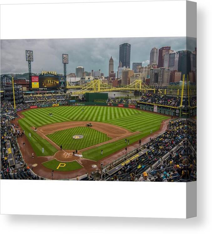 Gobucs Canvas Print featuring the photograph #pittsburgh #pittsburghpirates by David Haskett II