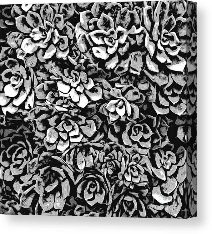 Succulents Canvas Print featuring the digital art Plants of Black And White by Phil Perkins