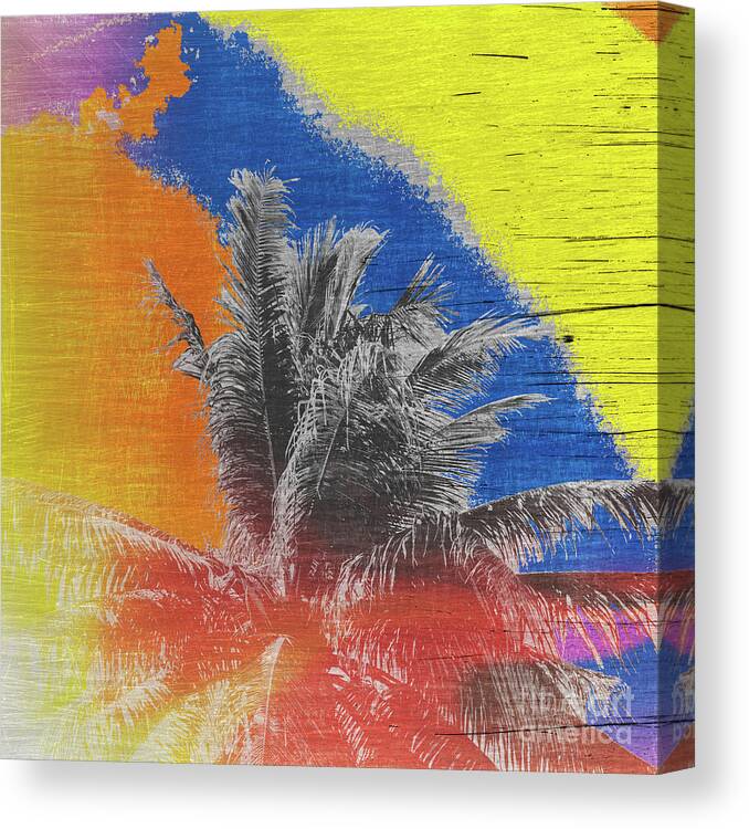 Coconut Tree Canvas Print featuring the photograph Pop Art Coconut Tree Retro Tropical Vintage Palm by Beverly Claire Kaiya