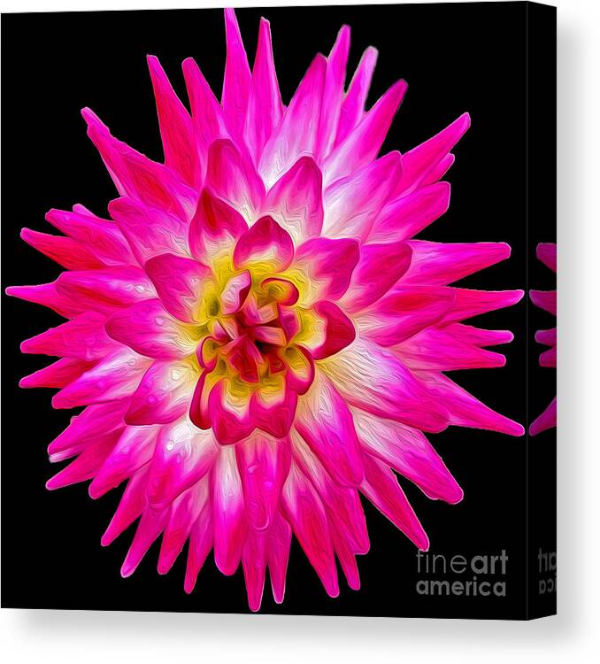 Pink Dahlia Canvas Print featuring the photograph Prettiest in Pink by Jilian Cramb - AMothersFineArt