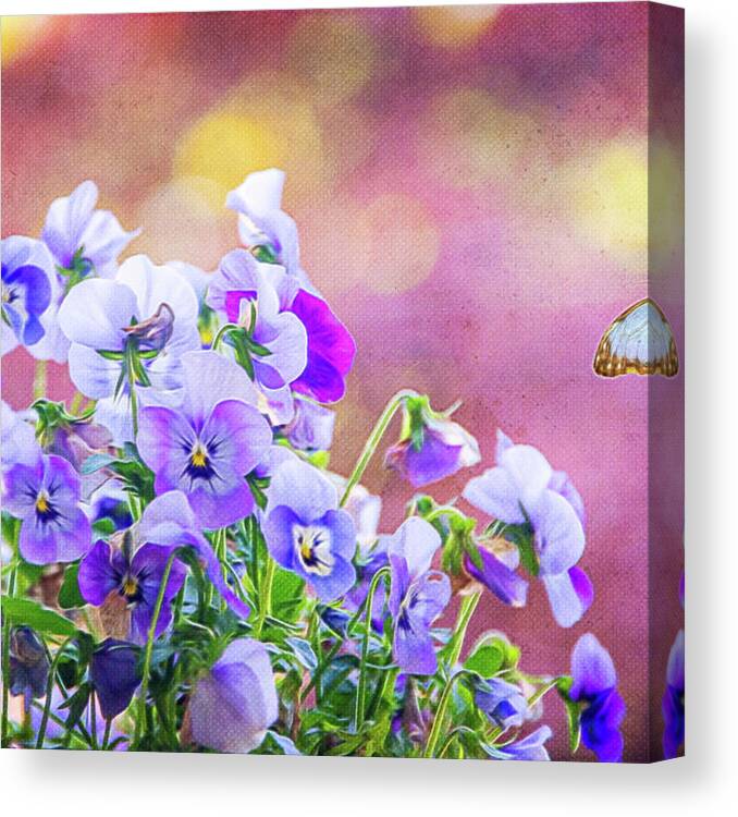 Pansies Canvas Print featuring the photograph Pretty Pansies by Cathy Kovarik