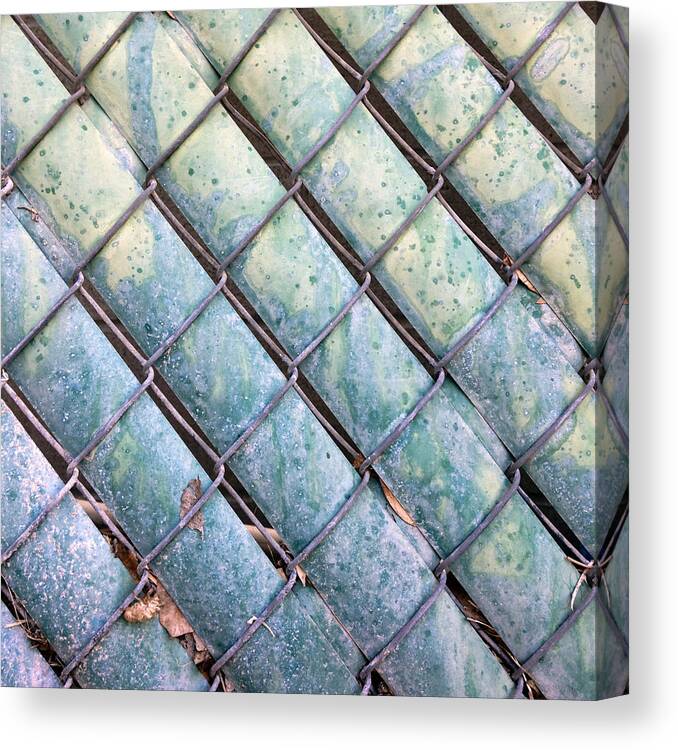 Fence Canvas Print featuring the photograph Privacy Chain by Stan Magnan