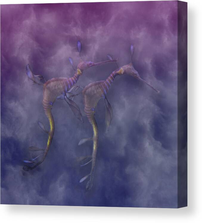 Sea Canvas Print featuring the photograph Purple Haze by Betsy Knapp