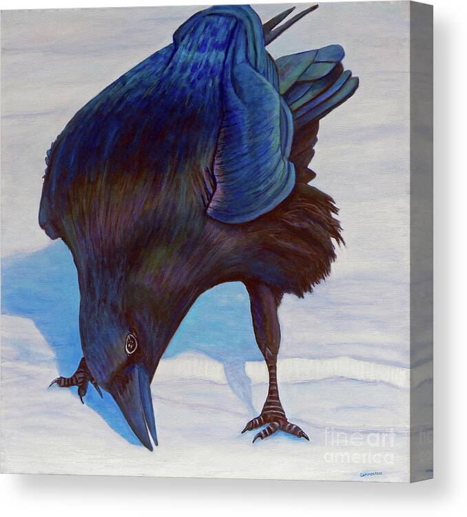 Raven Canvas Print featuring the painting Que Pasa by Brian Commerford