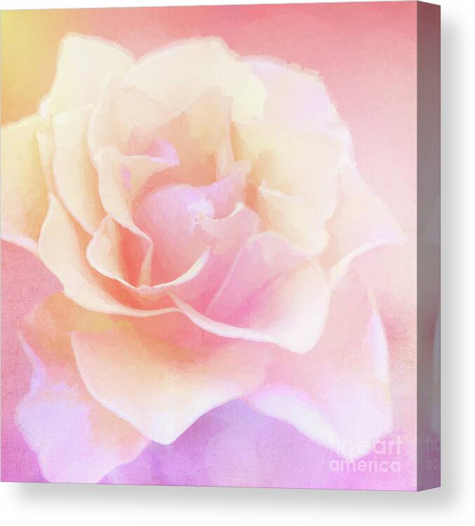 Rose Canvas Print featuring the photograph Rainbow Rose by Anita Pollak