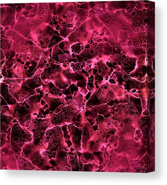 Raspberry Twist Canvas Print featuring the painting Abstract 2 by Patricia Lintner