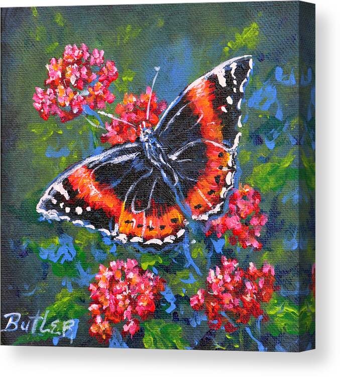 Nature Butterfly Insect Red Green Canvas Print featuring the painting Red Admiral by Gail Butler