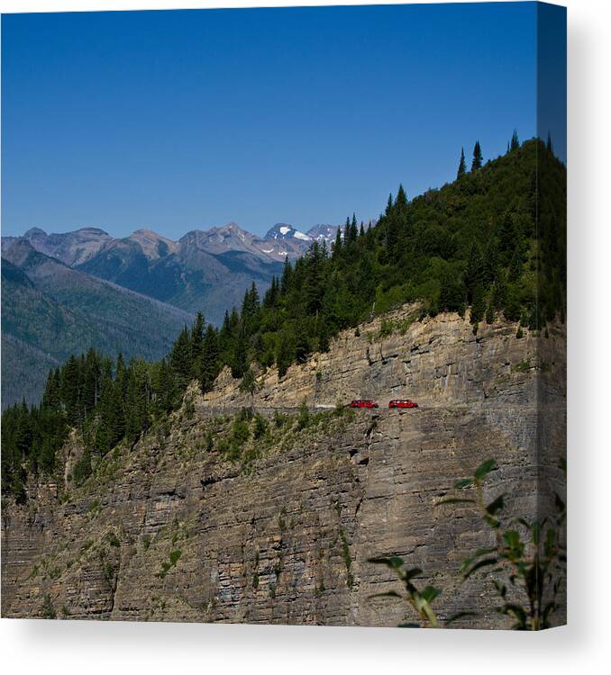 Mountain Canvas Print featuring the photograph Red Buses, Glacier National Park by Jedediah Hohf