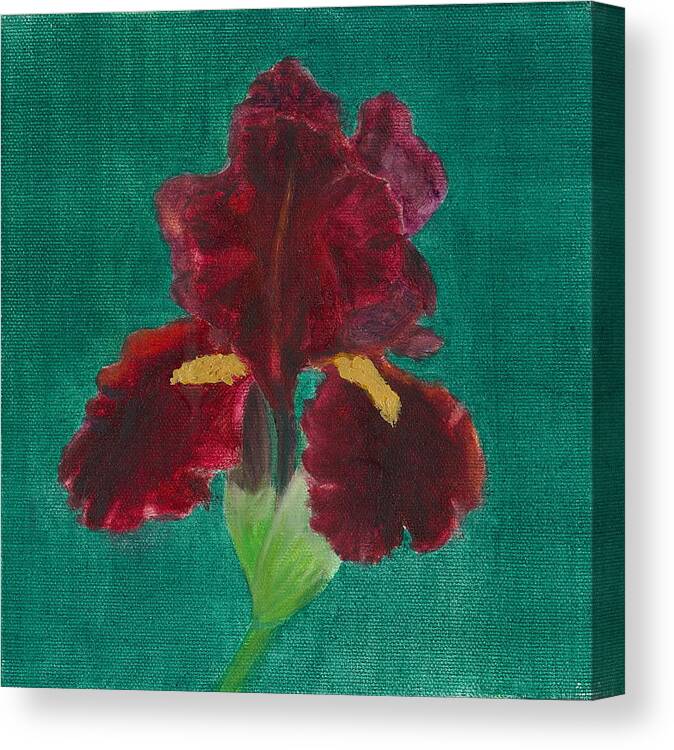 Flower Canvas Print featuring the painting Red Iris by Paula Emery