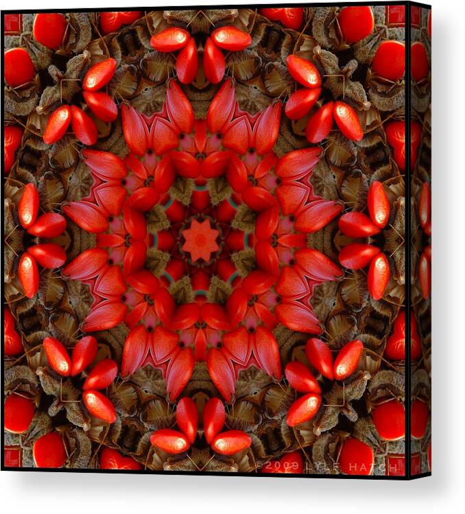 Kaleidoscope Canvas Print featuring the digital art Red Kaleidoscope No. 1 by Lyle Hatch