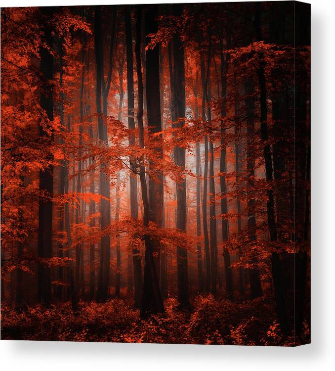 Forest Canvas Print featuring the photograph Red Parallel Universe by Philippe Sainte-Laudy