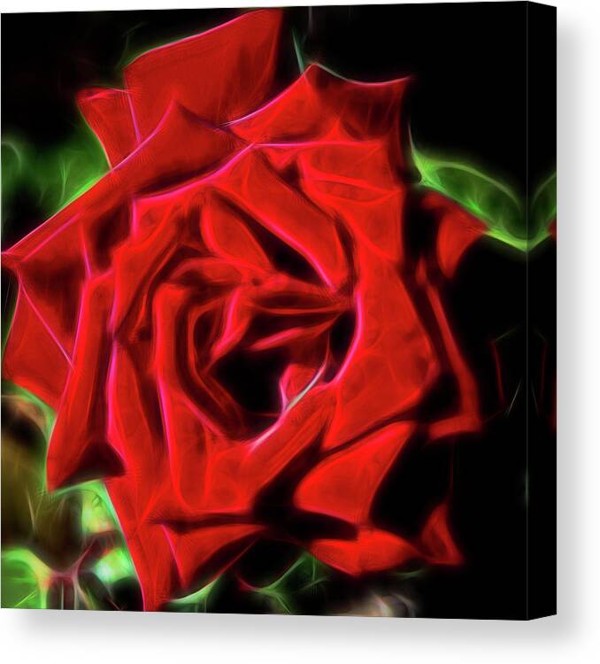 Red Rose Canvas Print featuring the digital art Red Rose 1a by Walter Herrit