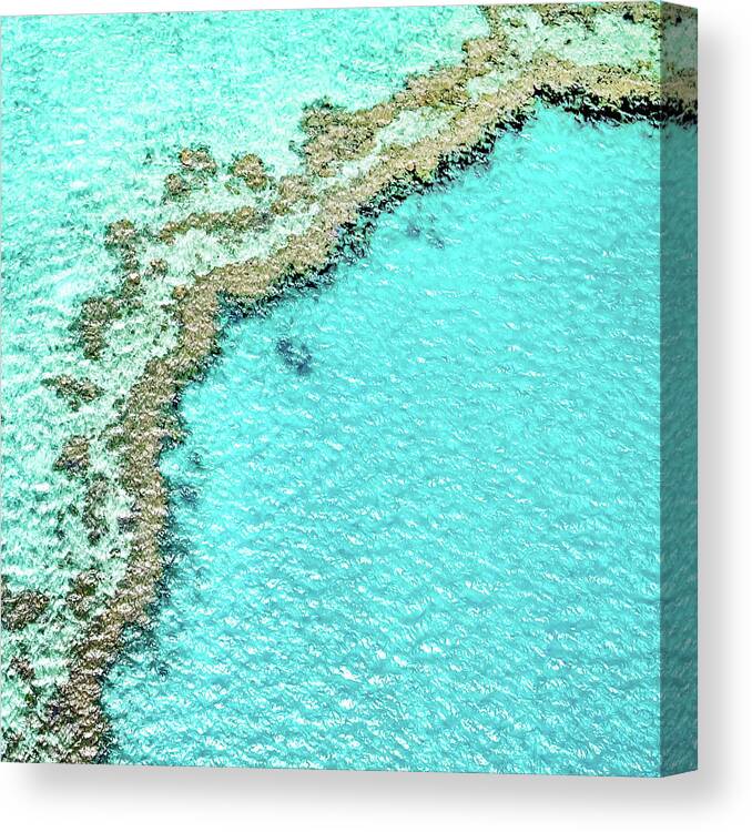 Australia Canvas Print featuring the photograph Reef Textures by Az Jackson