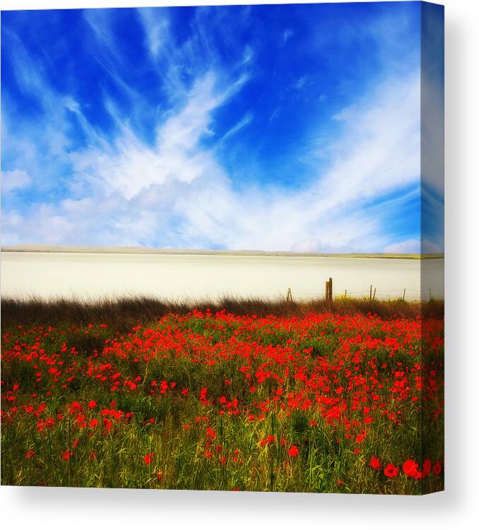 Poppies Canvas Print featuring the photograph Remember Summer by Philippe Sainte-Laudy