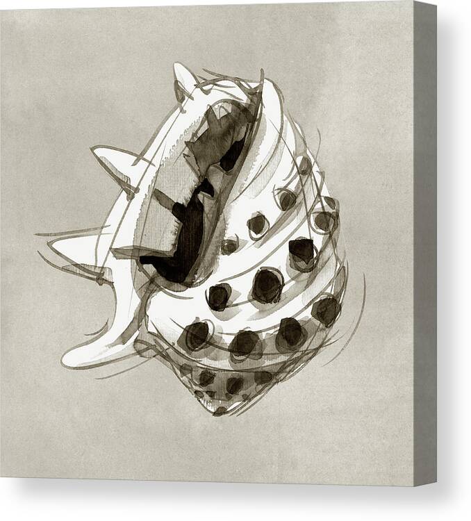 Seashell Canvas Print featuring the painting Ricinus Drupe - Front by Judith Kunzle