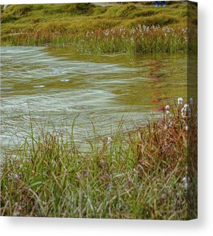 Grass Canvas Print featuring the photograph Riffelsee #riffelberg #rotenboden by Natus Valais
