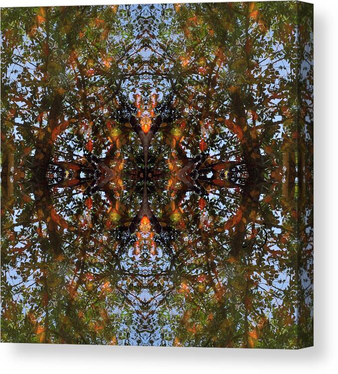 Water Canvas Print featuring the digital art Ripple and Leaf by Laura Davis