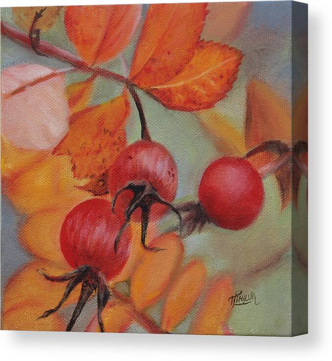 Nature Canvas Print featuring the painting Rose Hips by Tammy Taylor