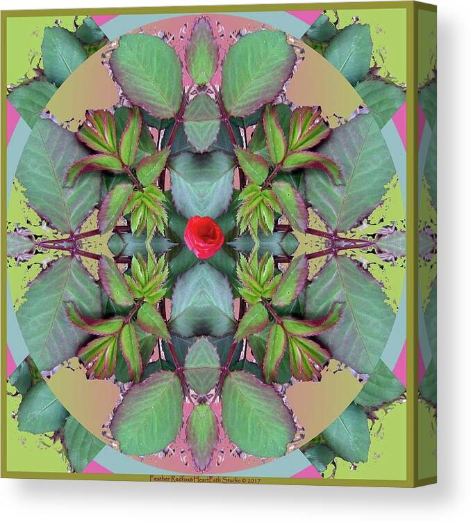 Rose Leaf Mandala Canvas Print featuring the photograph Rose Leaf Mandala by Feather Redfox