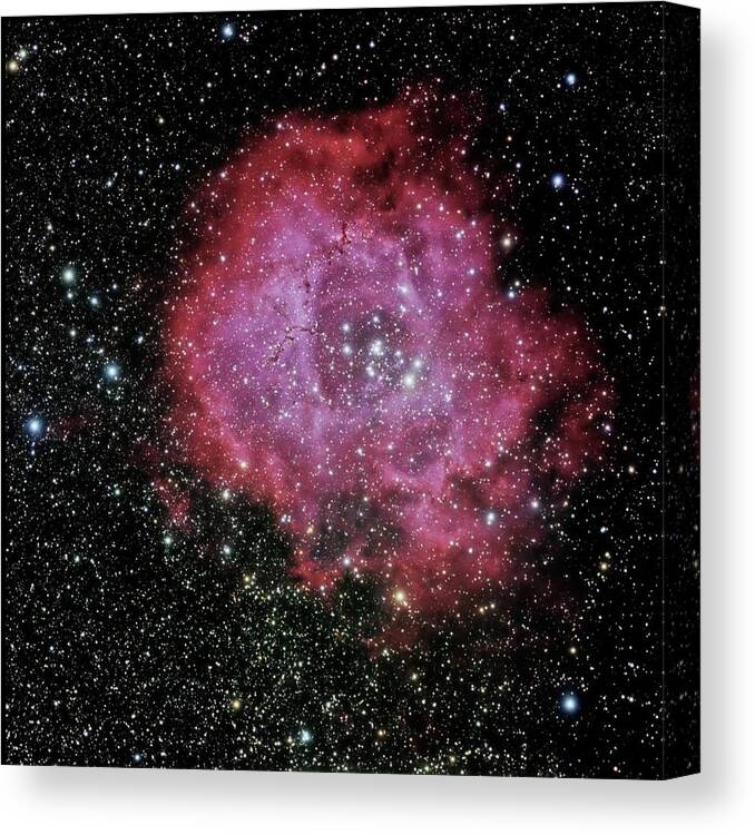 Space Canvas Print featuring the photograph Rosette Nebula in the Constellation Monoceros by Alan Vance Ley