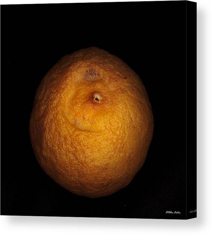 Food Canvas Print featuring the photograph Rotten Lemon by Alexander Fedin