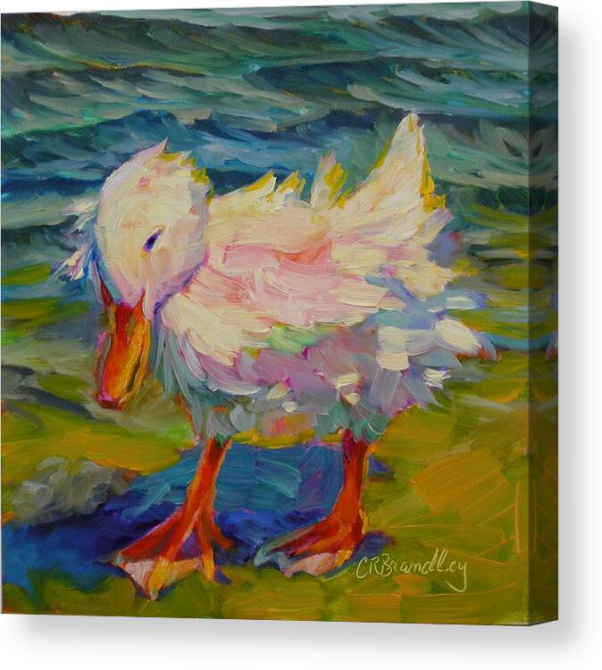 Duck Canvas Print featuring the painting Ruffled Feathers by Chris Brandley
