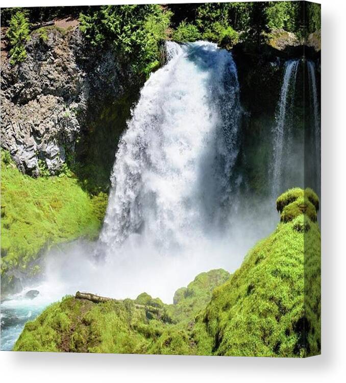 Love Canvas Print featuring the photograph Sahalie Falls Along The Mckenzie River by Alexy Saltekoff
