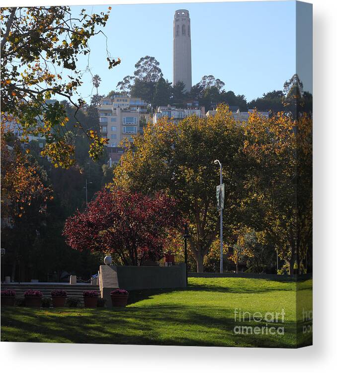 San Francisco Coit Tower At Levis Plaza 5D26217 square Canvas Print /  Canvas Art by Wingsdomain Art and Photography - Pixels
