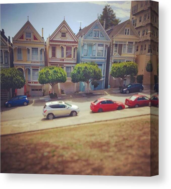 California Canvas Print featuring the photograph Painted Ladies by Nancy Ingersoll