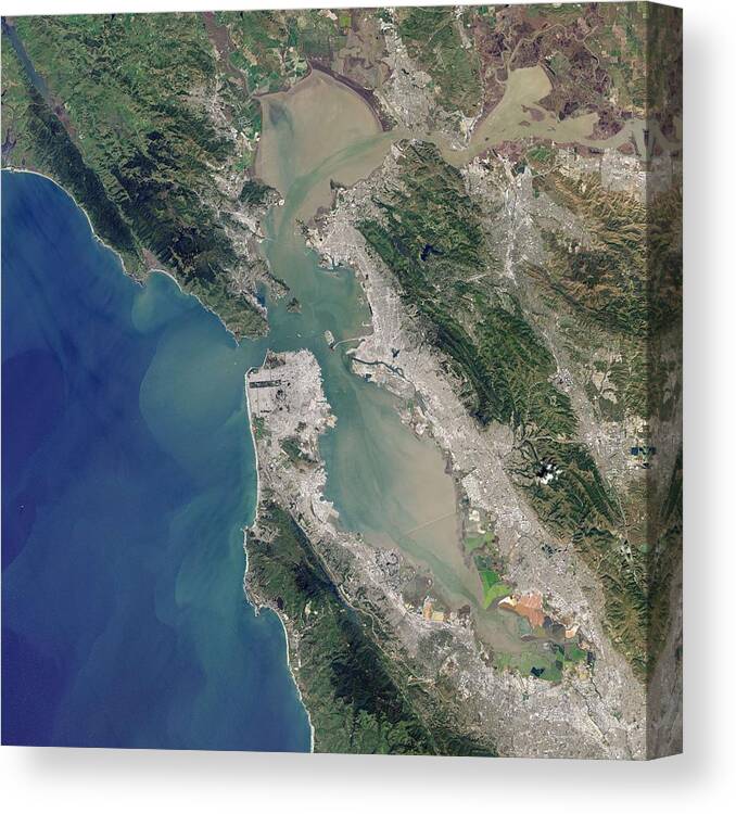 Bay Canvas Print featuring the painting Satellite image of San Francisco Bay Area by Celestial Images