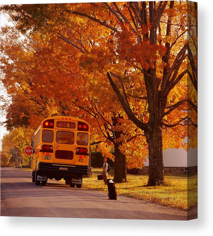 Teacher's Present. Tacher's Gift Canvas Print featuring the photograph Good Bye Friend I. Vermont by George Robinson