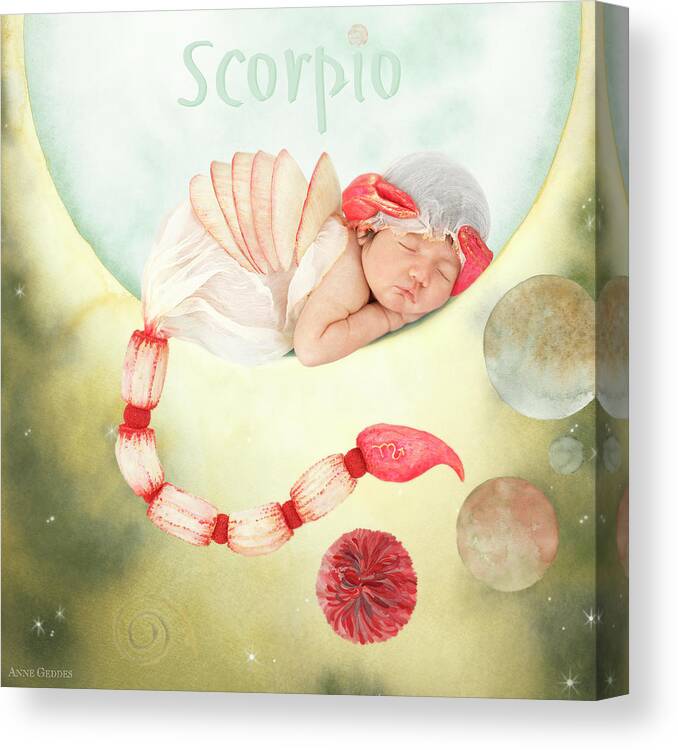 Scorpio Canvas Print featuring the photograph Scorpio by Anne Geddes