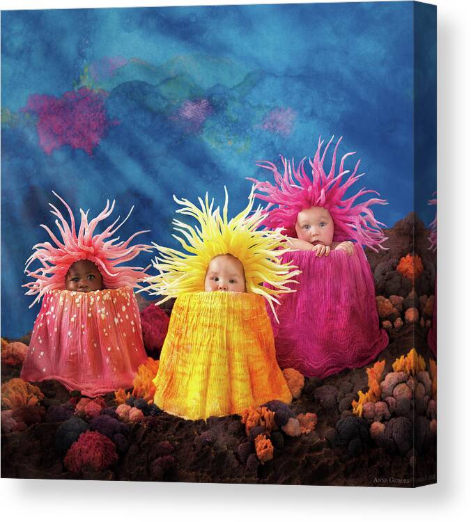 Under The Sea Canvas Print featuring the photograph Sea Anemones by Anne Geddes