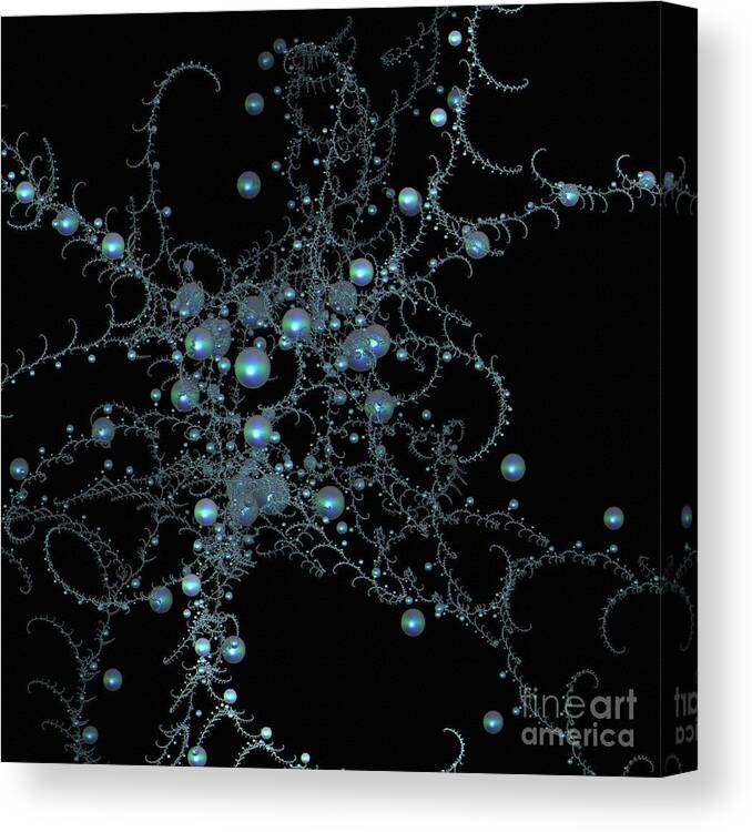 Fractal Canvas Print featuring the photograph Sea Pearls Web by Elaine Manley
