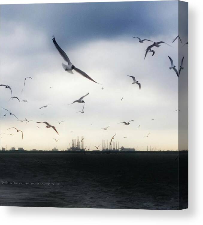 Beautiful Canvas Print featuring the photograph Seagulls On The Ferry At Bolivar by Percy Bohannon