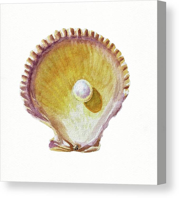 Shell Canvas Print featuring the painting Seashell Art Beach Treasure Sea Shell VI by Irina Sztukowski