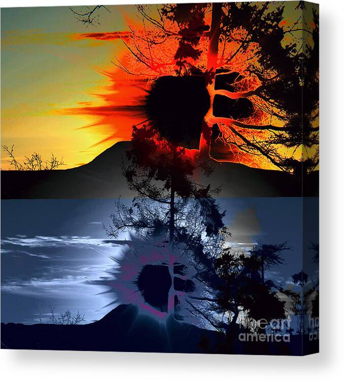 Sunset Canvas Print featuring the photograph Sechelt tree Sun and Moon by Elaine Hunter